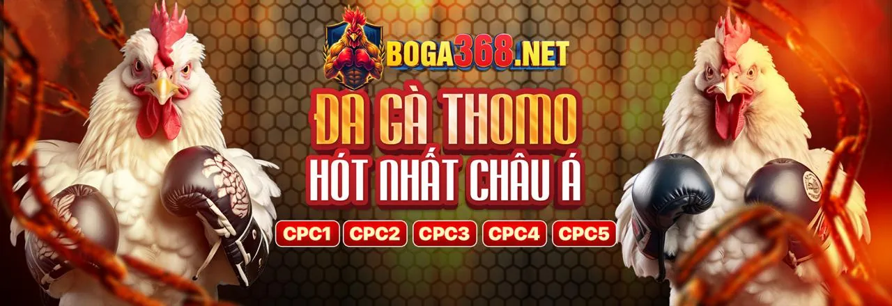 Tổng quan về Funn88 Link Mới 2026, nền tảng cá cược trực tuyến hàng đầu