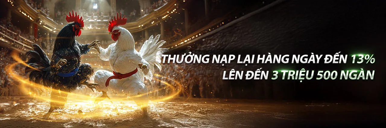 Đá gà trực tuyến Funn88 kịch tính