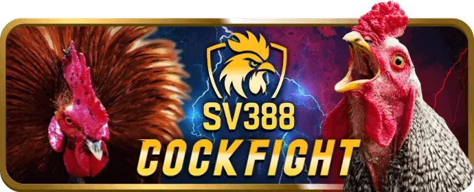 Hotline hỗ trợ Funn88